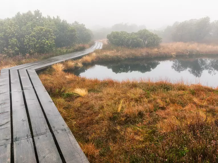 Die Highlights im Nationalpark Bayerischer Wald erwandern