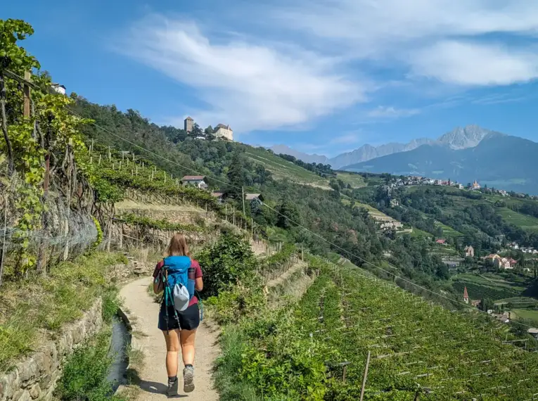 Individuelle Wanderreise Meraner Höhenweg Südseite
