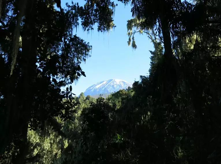 Kilimanjaro: Machame-Route (Southern Cicuit)