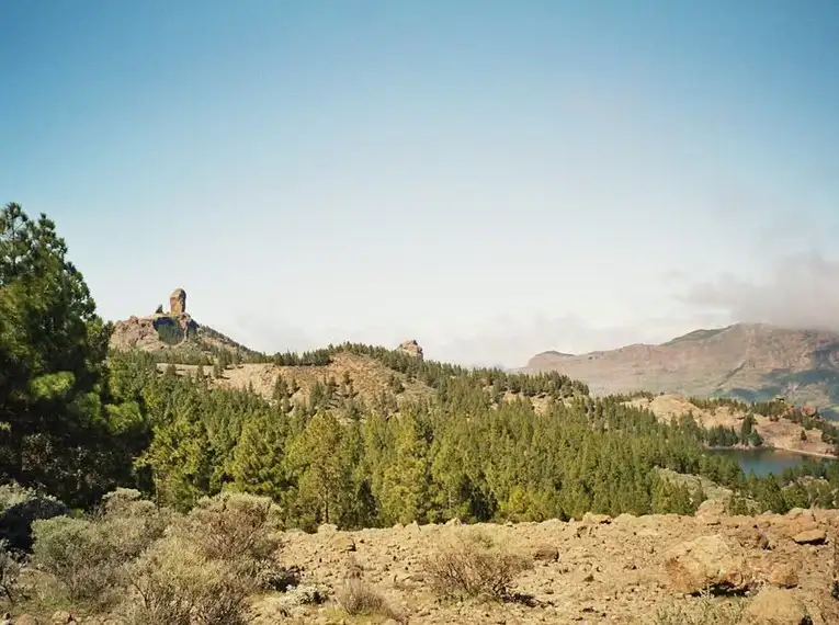 Die Highlights Gran Canarias erwandern – Bild 7