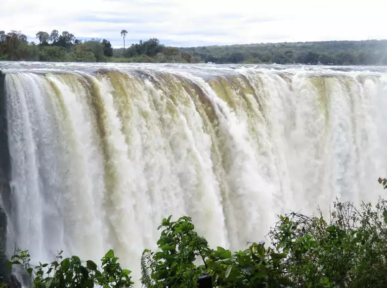 Blick auf die donnernden Victoriafälle in Simbabwe, umgeben von üppiger Vegetation.