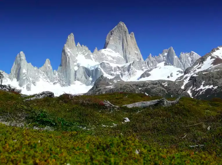Schneebedeckte Berge und grüne Landschaft in Patagonien, Chile