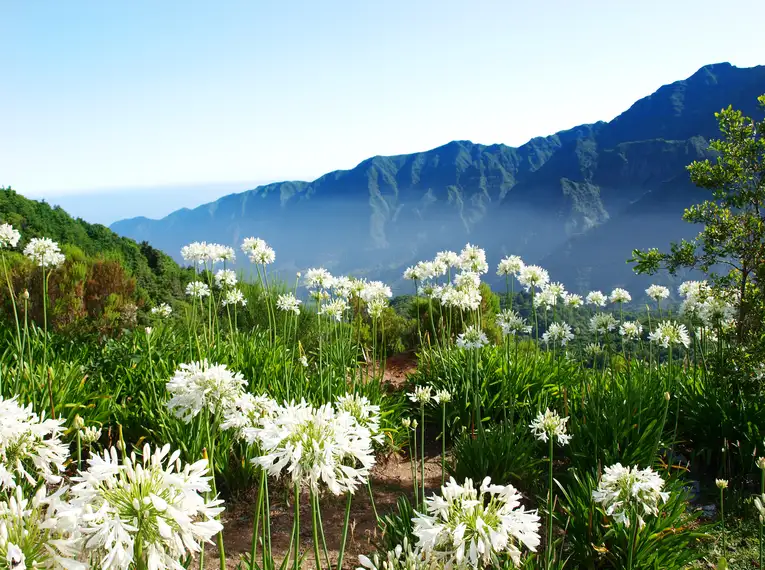 Madeira gemütlich erwandern – Bild 7