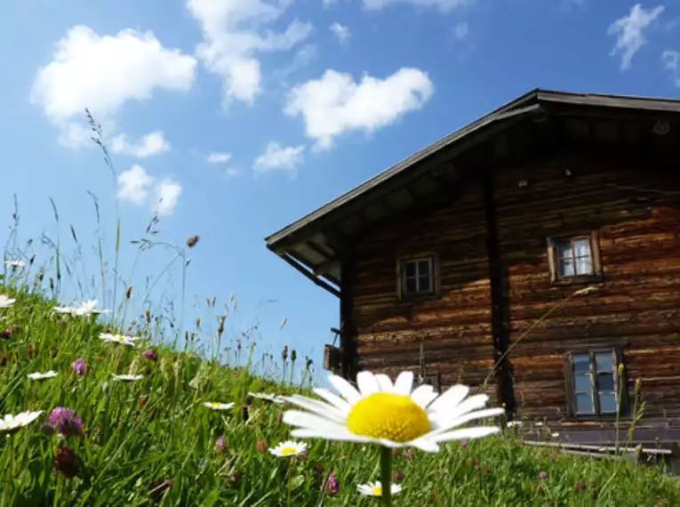Alpenüberquerung Tegernsee-Sterzing in Kleingruppen
