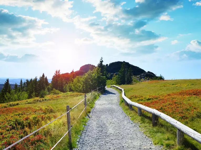 Die Highlights im Nationalpark Bayerischer Wald erwandern