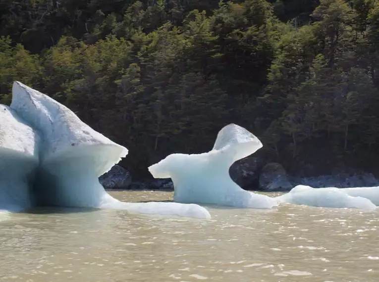 Patagonien - Trekking im Torres del Paine & Aysen