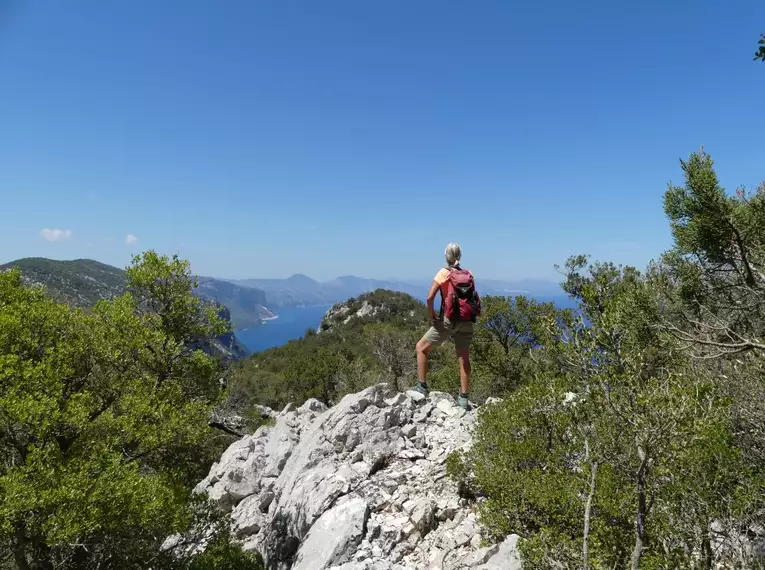 Sardiniens Zauber: Auf den Spuren der Hirtenpfade