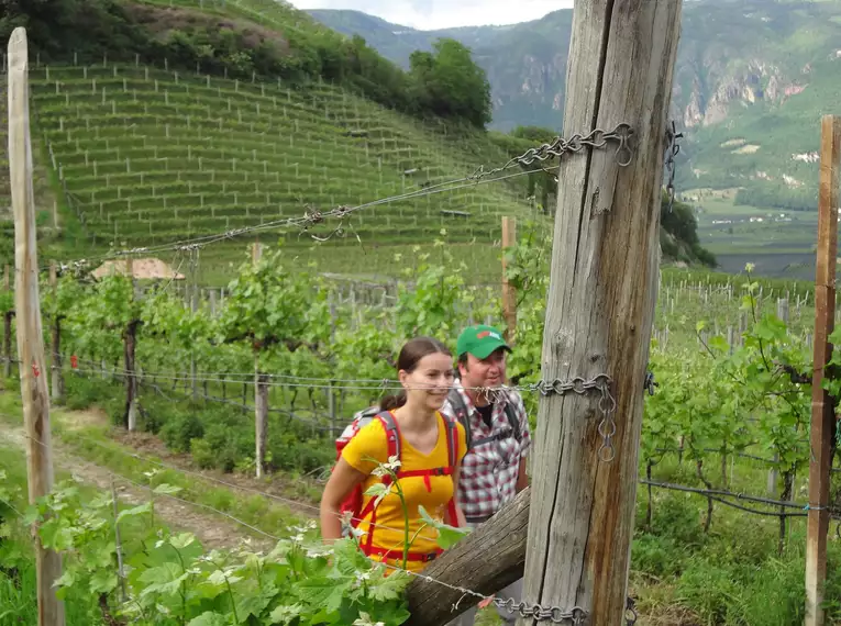 Individuelle Wanderung entlang des Wein- und Almenwegs in Südtirol