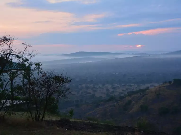 Uganda: Auf den Spuren der majestätischen Berggorillas