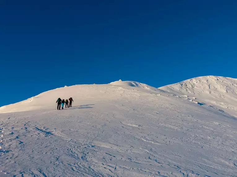 Schneeschuhwandern in Schwedisch Lappland - Die Berge & Wälder des Vindelfjällen