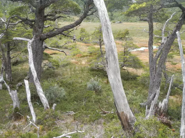 Patagonien - Trekking im Torres del Paine & Aysen