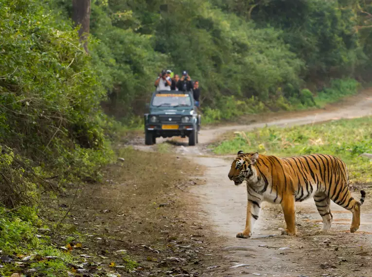Indiens Highlights erleben