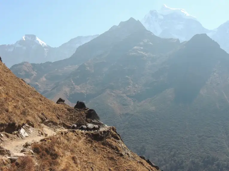 Nepal – Gokyo Lodge-Trek – Bild 3