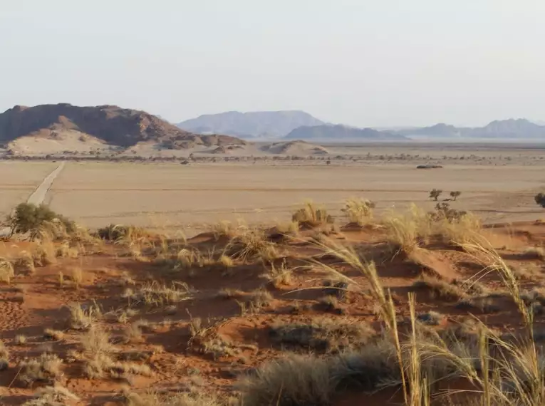 Namibias Naturwunder: Farbenpracht und grenzenlose Weite