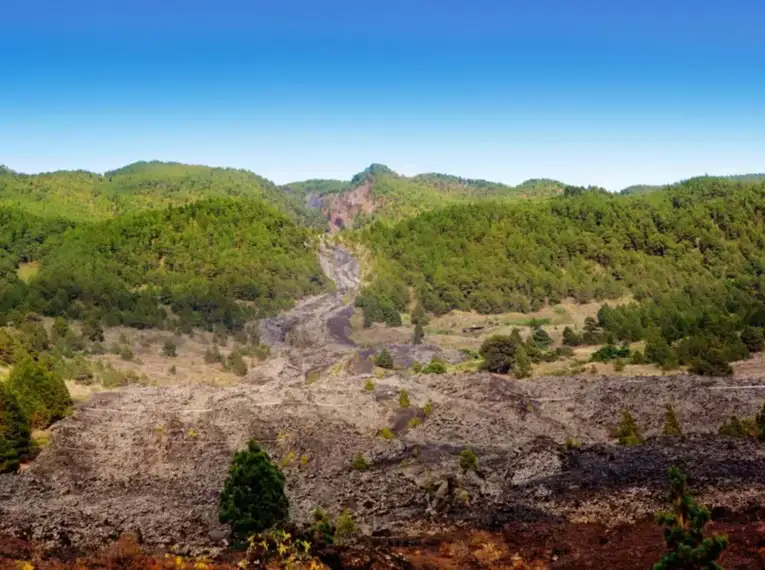 Lavafeld und grüne Hügel auf La Palma unter klarem Himmel.