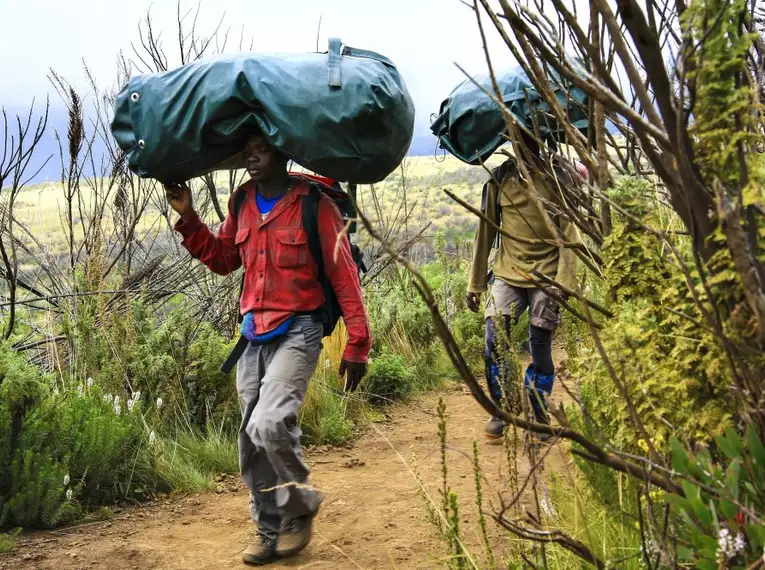 Kilimanjaro: Marangu-Route – Bild 9