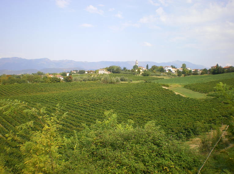 Vom Gardasee nach Venedig