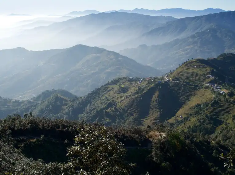 Blick auf terrassenförmige Felder und grüne Hügel im Himalaya.