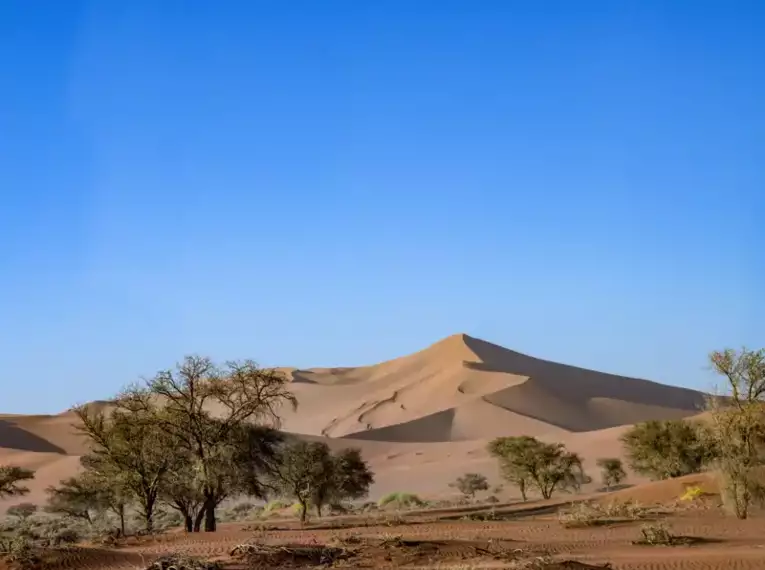 Namibia - die Wunderwelt der Wüsten