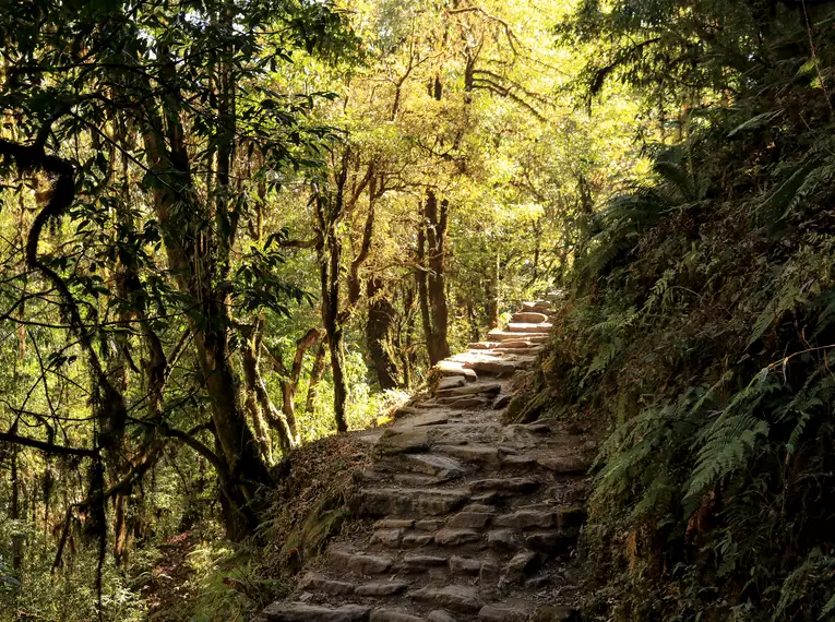 Nepal - Annapurna-Trek zum Poon Hill