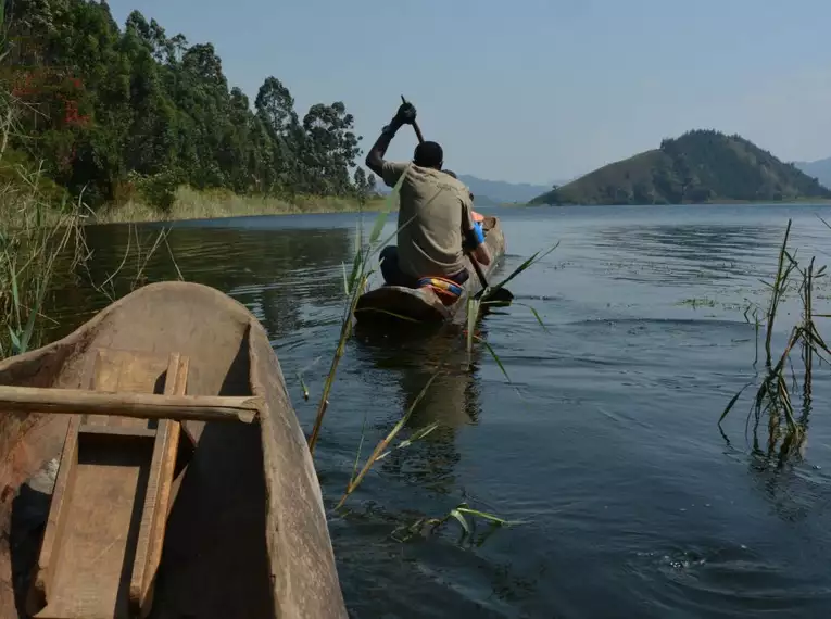 Uganda: Auf den Spuren der majestätischen Berggorillas
