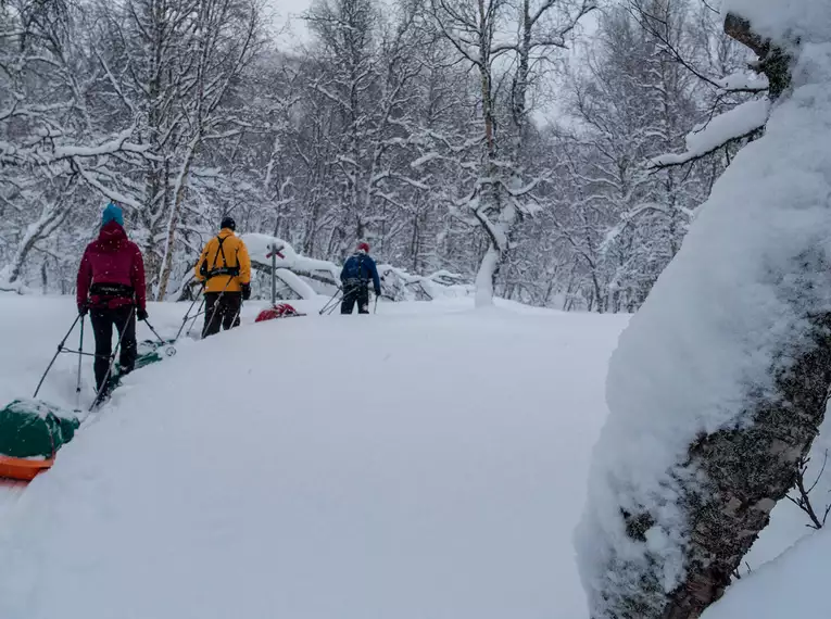 Schneeschuhwandern in Schwedisch Lappland - Die Berge & Wälder des Vindelfjällen