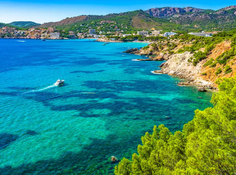 Silvester in Palma de Mallorca