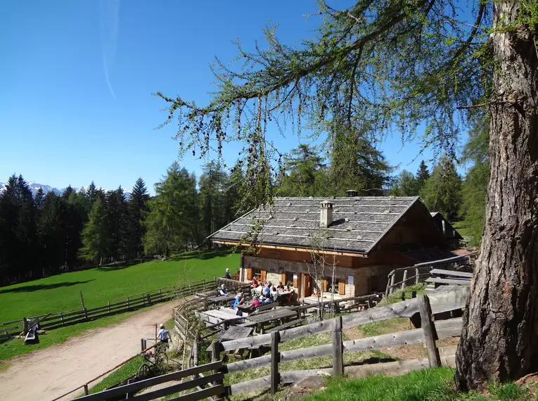 Individuelle Wanderung entlang des Wein- und Almenwegs in Südtirol