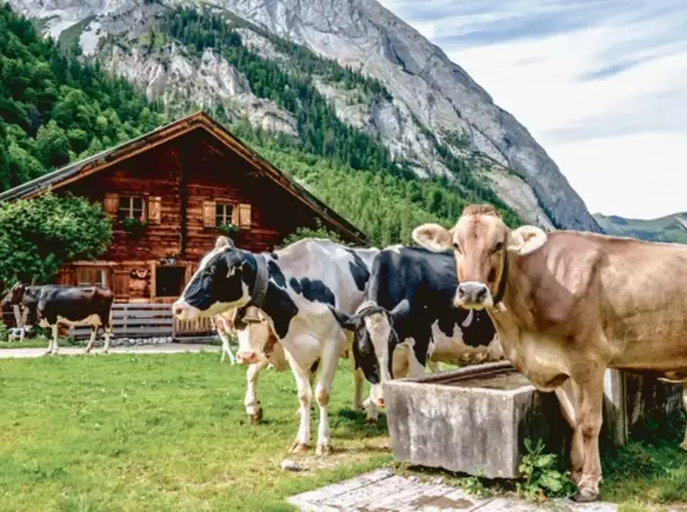 Individuelle Alpenüberquerung von Alm zu Alm