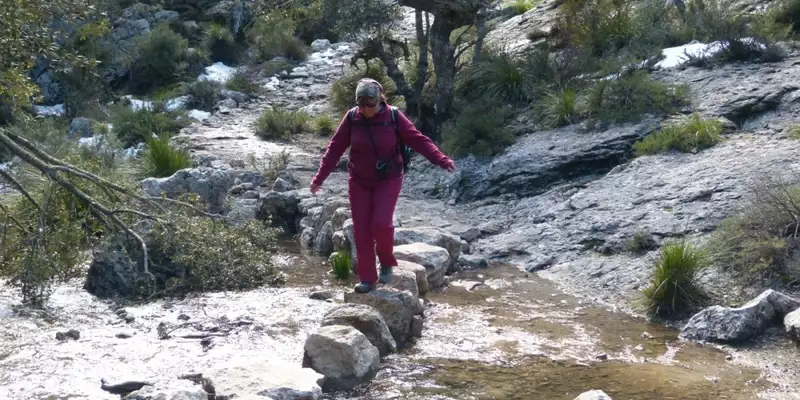 Mallorcas Highlights der Tramuntana erwandern - Bild 1