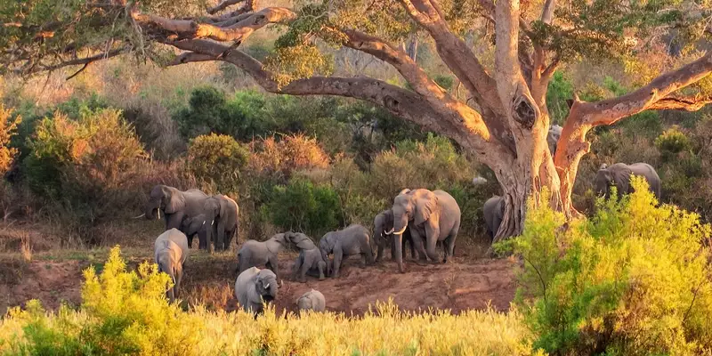 Südafrikas Highlights entdecken - Bild 1