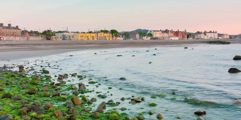 Irland - die Wicklows gemütlich erwandern - Bild 10