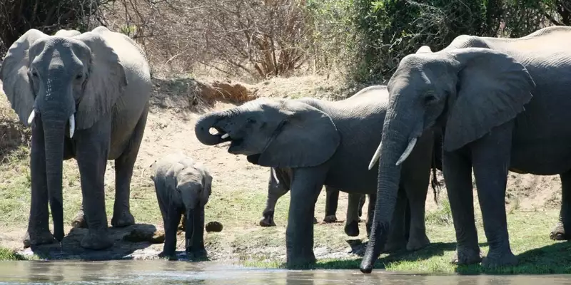 Südafrika - die Highlights der Kapregion entdecken - Bild 4