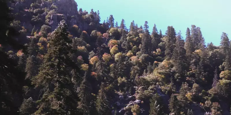 Marokko - Der wilde Norden und das Erbe von Al-Andalus - Bild 15