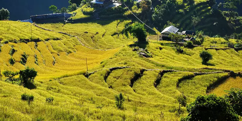 Nepals Highlights erleben – Aktivreise durch Nepal - Bild 16