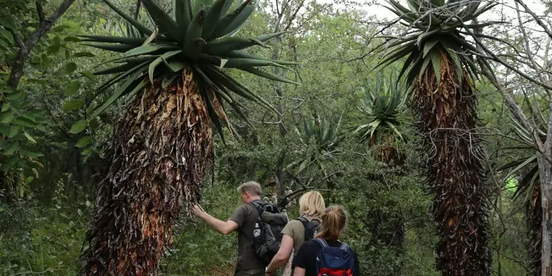 Namibias Naturwunder: Farbenpracht und grenzenlose Weite - Bild 26