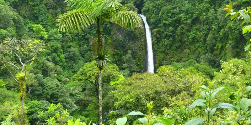 Costa Rica - Entdeckungsreise zu unberührten Nationalparks und lebendiger Kultur - Bild 9