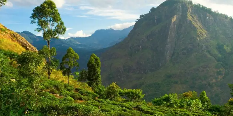 Sri Lanka komfortabel erwandern - Bild 11