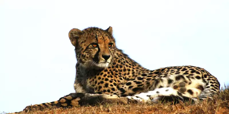 Südafrika komfortabel erwandern - Bild 4