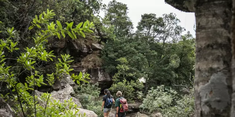 Südafrika - Afrikas Wildnis im Nordosten hautnah erleben - Bild 17