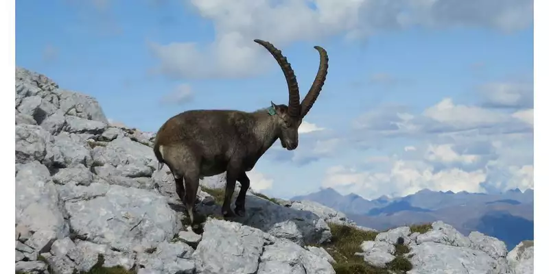 Wild Trails - die etwas andere Dolomitendurchquerung - Bild 14