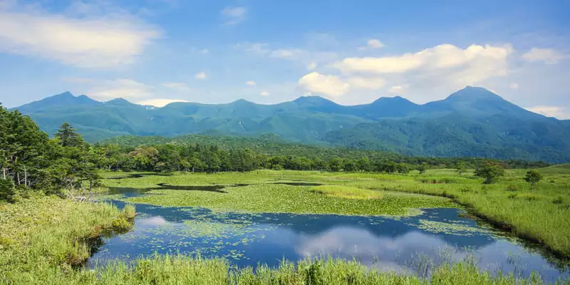 Japan - von Hokkaido bis Tokyo - Bild 9