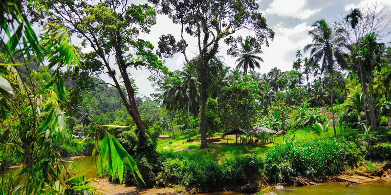 Sri Lanka komfortabel erwandern - Bild 1