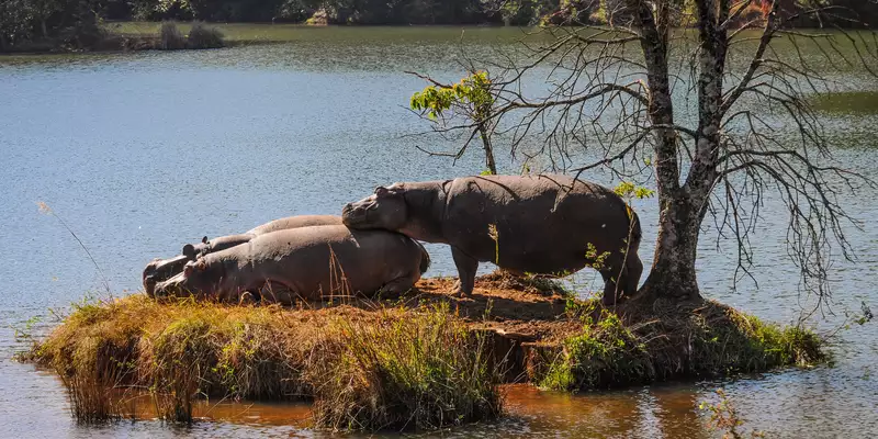 Südafrikas Highlights entdecken - Bild 15