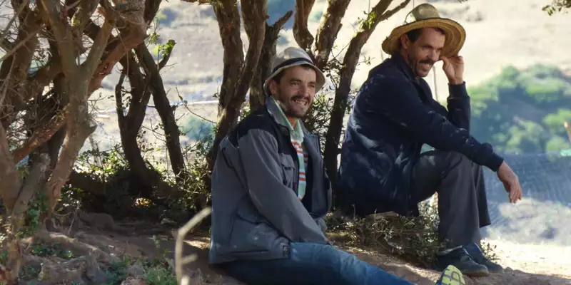 Marokko - Der wilde Norden und das Erbe von Al-Andalus - Bild 14