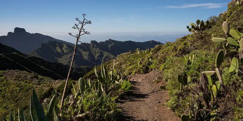 Teneriffa gemütlich erwandern - Bild 5