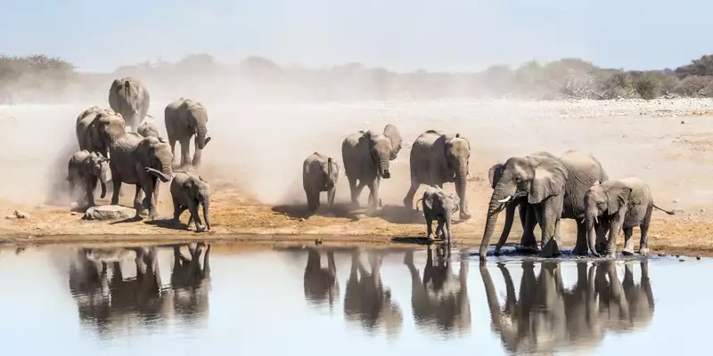 Südafrika, Namibia, Botswana, Simbabwe - Entdeckungsreise durch das südliche Afrika - Bild 7