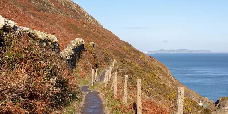 Irland - die Wicklows gemütlich erwandern - Bild 11