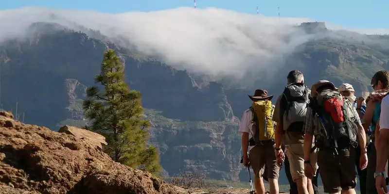 Die Highlights Gran Canarias erwandern - Bild 4