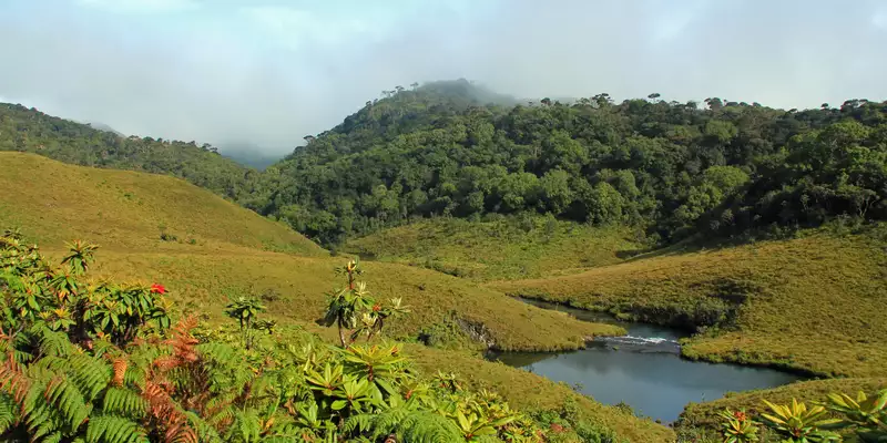 Sri Lanka komfortabel erwandern - Bild 7